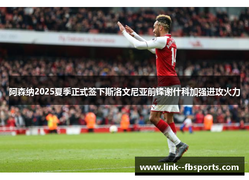 阿森纳2025夏季正式签下斯洛文尼亚前锋谢什科加强进攻火力 阿森纳2025夏季正式签下斯洛文尼亚前锋谢什科加强进攻火力