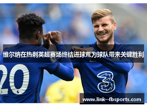 维尔纳在热刺英超赛场终结进球荒为球队带来关键胜利 维尔纳在热刺英超赛场终结进球荒为球队带来关键胜利